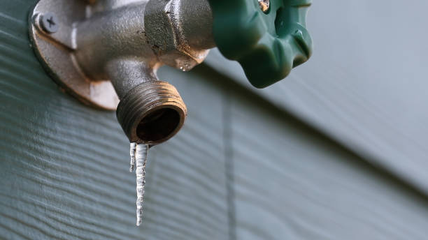 Best Plumbing Inspection Services  in Oak Hill, FL